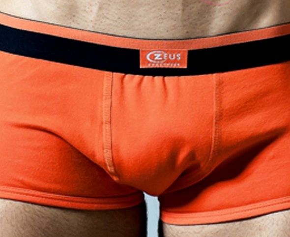 Cueca Nova Sungão_Coral M